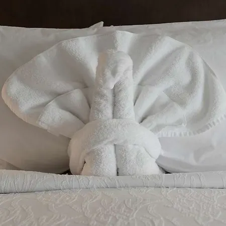 Hilton Garden Inn Louisville Mall Of St. Matthews 